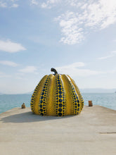 Load image into Gallery viewer, Pumpkin
